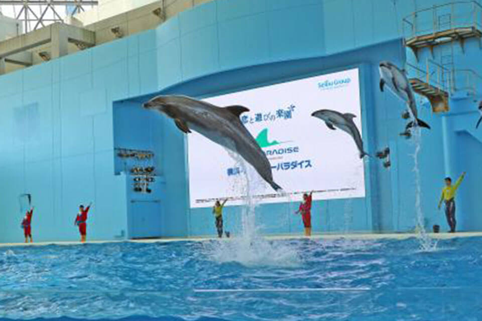 横浜・八景島シーパラダイス